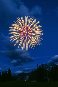 Low angle view of firework display against sky at night