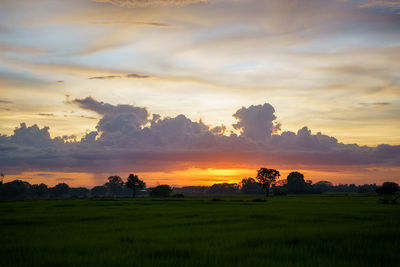 Scenic view of field against sky during sunset