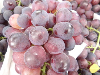 Full frame shot of grapes