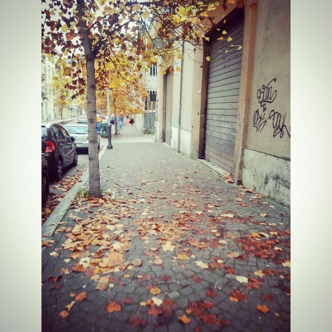 architecture, built structure, building exterior, the way forward, autumn, street, cobblestone, diminishing perspective, change, alley, leaf, house, day, footpath, auto post production filter, building, vanishing point, city, transfer print