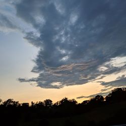 Low angle view of silhouette trees against sky during sunset