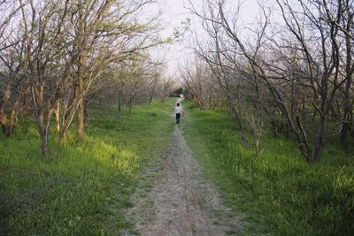 Full length of people walking on footpath