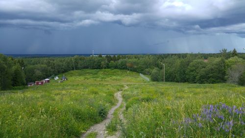 Scenic view of grassy field against cloudy sky