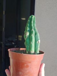 Close-up of cropped hand holding food