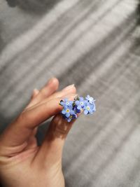 High angle view of hand holding flower on road