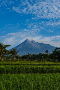 Mount merapi in yogyakarta, indonesia in the morning 