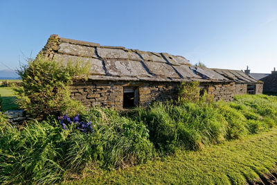 Plants growing on old building by field against clear sky