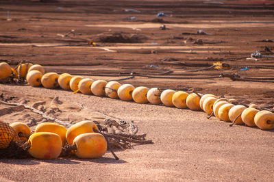 Close-up of pumpkins on beach