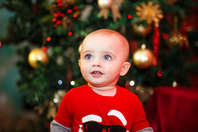 Portrait of boy with christmas tree