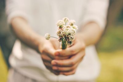 Close-up of hand holding bouquet