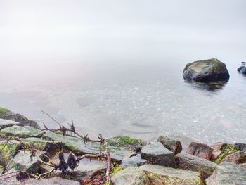 Scenic view of sea shore