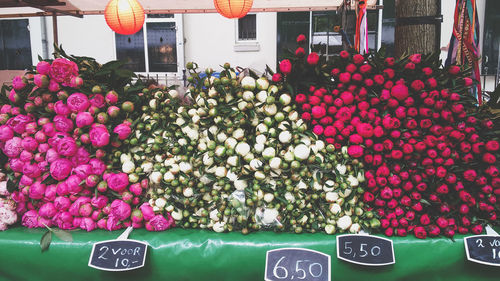 Pink flowers in market for sale