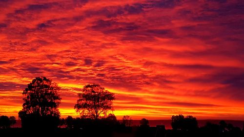 Silhouette trees against dramatic sky during sunset