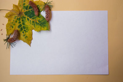 High angle view of paper on table