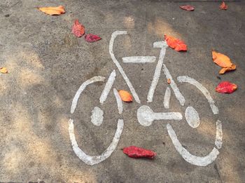 High angle view of fallen autumn leaves on bicycle lane sign