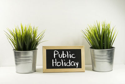 Potted plant on table