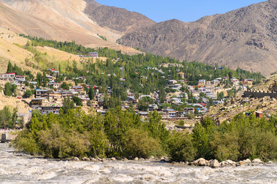 Trees and plants growing in town against mountains