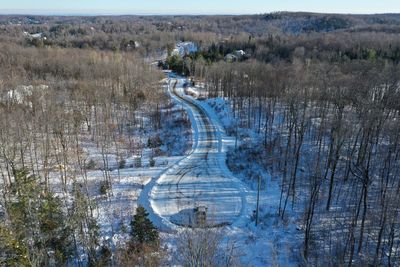 Panoramic shot of road amidst trees on field