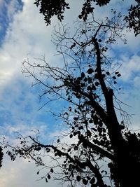 Low angle view of bare tree against cloudy sky