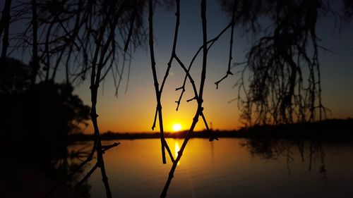 Silhouette trees by lake against sky during sunset