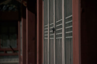 Close-up of korean traditional door 