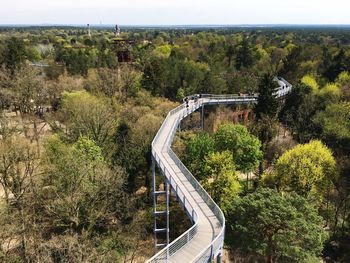 High angle view of footbridge amidst trees