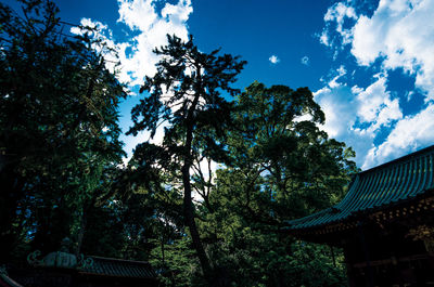 Low angle view of trees and building against sky