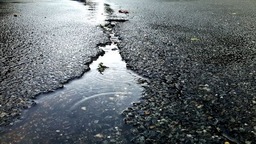 High angle view of water puddle in street crack