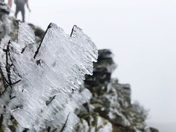 Close-up of snow against sky