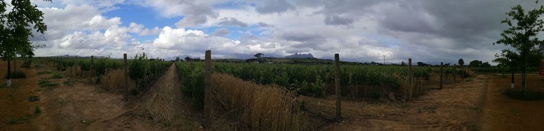 Panoramic shot of land against sky