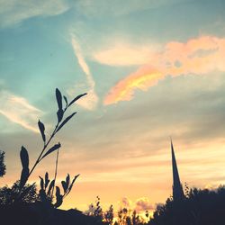 Low angle view of silhouette plants against sky