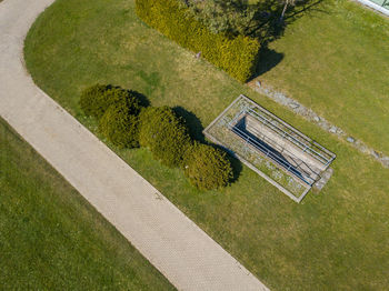 High angle view of green plants in park