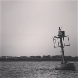 Reflection of trees in water