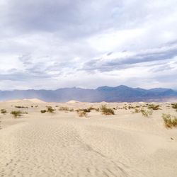 Scenic view of desert against sky