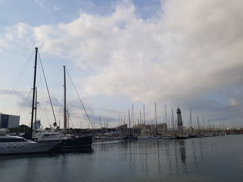 Sailboats in marina