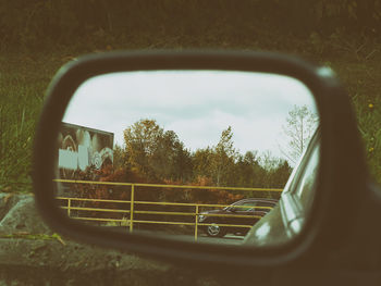 Reflection of trees in side-view mirror