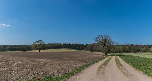 Scenic view of agricultural field against blue sky