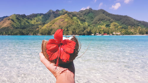 Midsection of person holding umbrella on beach