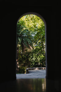 Trees seen through arch window