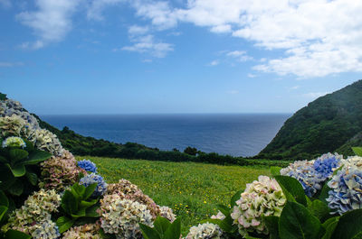 Scenic view of sea against blue sky