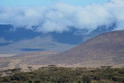 Ngorongoro crater in tanzania