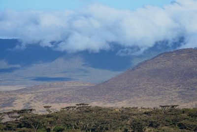 Scenic view of landscape against sky