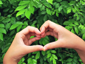 Close-up of hand making heart shape against plants