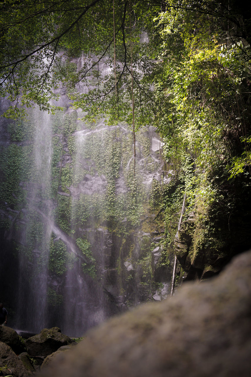 SCENIC VIEW OF WATERFALL AGAINST TREES