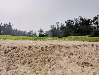 Surface level of land against clear sky