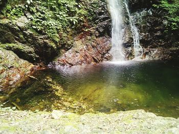 Scenic view of waterfall in forest