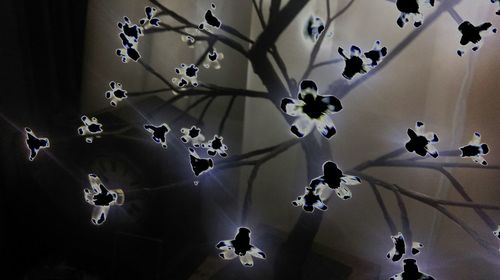 Low angle view of tree against sky