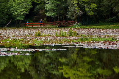 Scenic view of lake