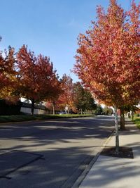 Road by trees in city against sky