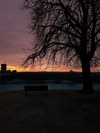 Silhouette of tree at seaside